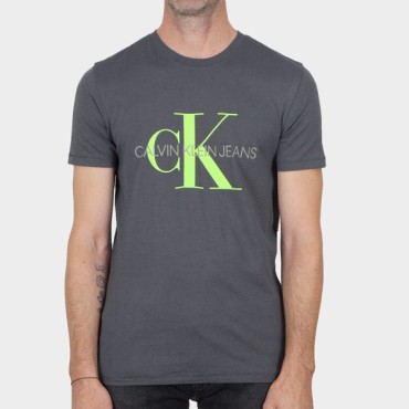 Camiseta Calvin Klein Jeans J30J317065PCK  Gris XL