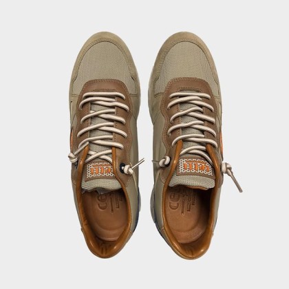 Zapatillas Cetti C1216 ante wood