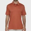 Polo Calvin Klein LV04LB276GOKL